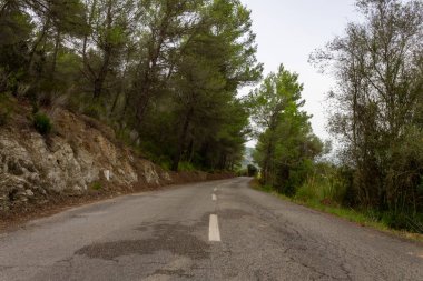 Ağaçların arasındaki yol. mallorca bisiklet yolu
