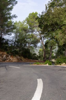 Ağaçların arasındaki yol. mallorca bisiklet yolu