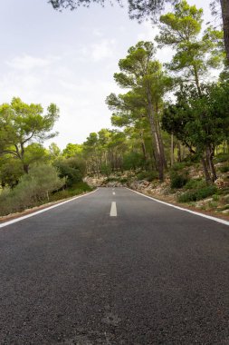 Ağaçların arasındaki yol. mallorca bisiklet yolu