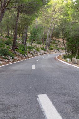 Ağaçların arasındaki yol. mallorca bisiklet yolu
