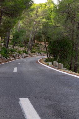 Ağaçların arasındaki yol. mallorca bisiklet yolu