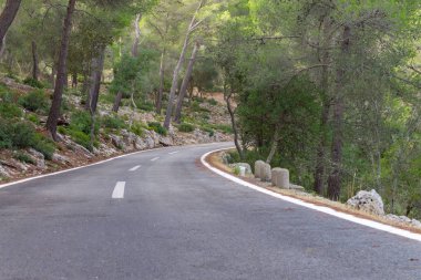 Ağaçların arasındaki yol. mallorca bisiklet yolu