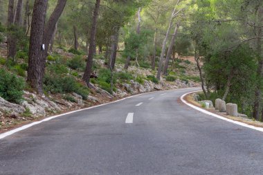 Ağaçların arasındaki yol. mallorca bisiklet yolu