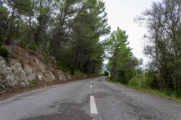 Estrada entre as árvores. rota de ciclismo de Maiorca — Fotografia de Stock