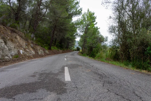 Ağaçların arasındaki yol. mallorca bisiklet yolu