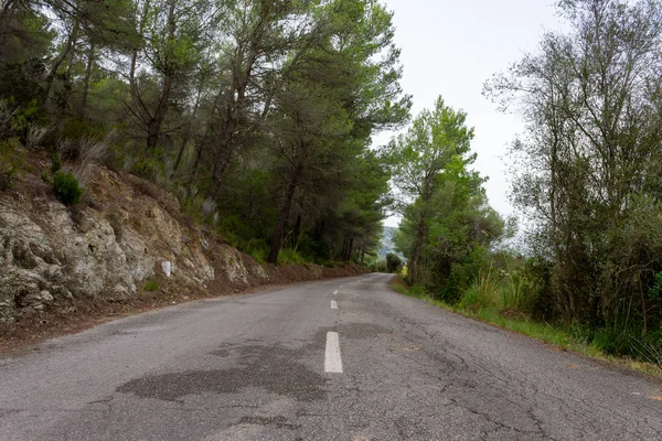 Estrada entre as árvores. rota de ciclismo de Maiorca — Fotografia de Stock