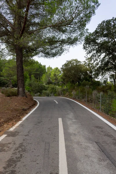 Weg tussen de bomen. fietsroute van Mallorca — Stockfoto