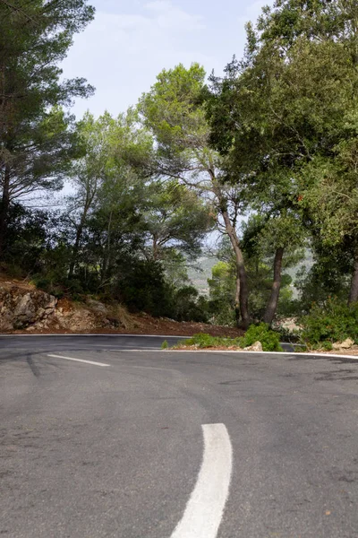Estrada entre as árvores. rota de ciclismo de Maiorca — Fotografia de Stock
