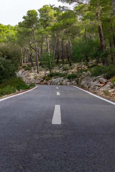 Estrada entre as árvores. rota de ciclismo de Maiorca — Fotografia de Stock