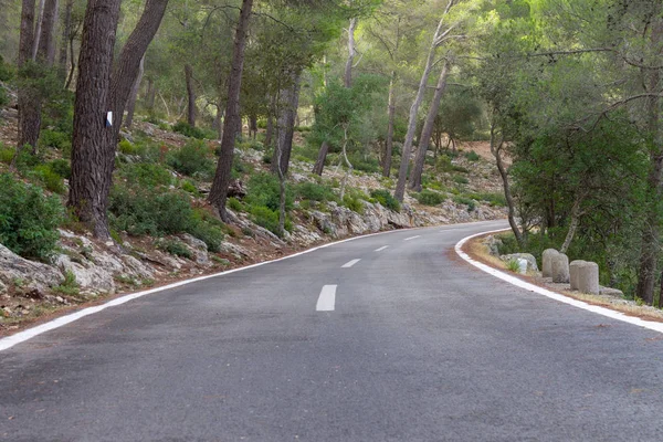 Estrada entre as árvores. rota de ciclismo de Maiorca — Fotografia de Stock