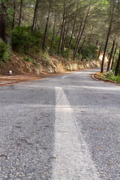 Camino de asfalto negro y líneas divisorias blancas —  Fotos de Stock