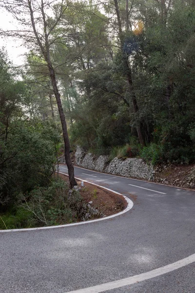 Ο δρόμος ανάμεσα στα δέντρα. Ποδηλατική διαδρομή Μαγιόρκα — Φωτογραφία Αρχείου