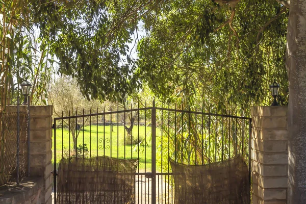 Old Gated Entrance and Driveway of a Country Estate