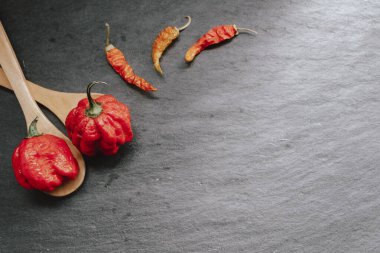 Dünyanın en acı biberi. Trinidad Scorpion Butch, Havana 'dan binlerce kat daha baharatlı. Siyah tahta zemin üzerinde, doğal ışık ile. Baharatlı siyah gıda konsepti.