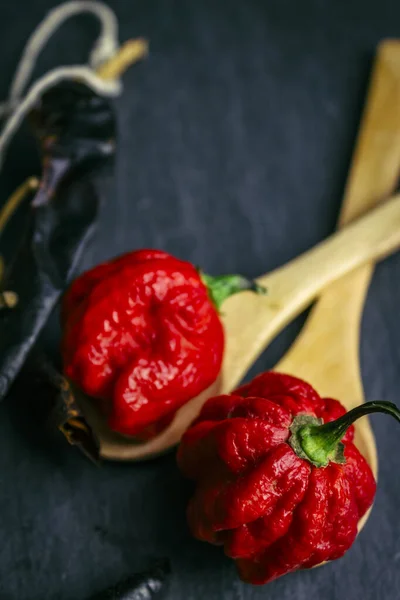 Hottest pepper in the world. Trinidad Scorpion Butch, thousands of times more spicy than Havana. On black slate background, with natural light. Spicy dark food food concept.