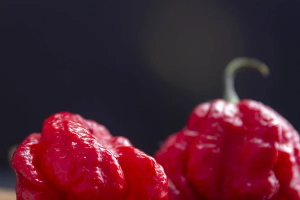 Hottest pepper in the world. Trinidad Scorpion Butch, thousands of times more spicy than Havana. On black slate background, with natural light. Spicy dark food food concept.