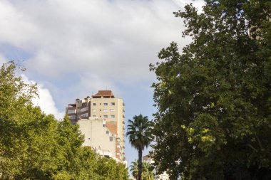 Eski kasaba Palma de Mallorca, Mallorca, İspanya, pencere Panjur ile bina