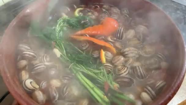 Evde Salyangoz Pişirmek Akdeniz Usulü Rezene Biberiye Böcek Yeme Kavramı — Stok video