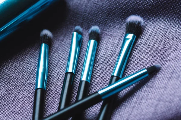 Collection of thin make-up brushes to apply eyeshadow. Concept of make-up e-learning and beauty tips.