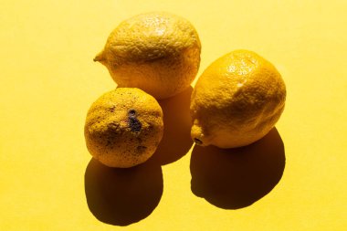 Bir çürüğün yanında iki limon. Yiyecek atıkları ve çürümüş yiyecekler kavramı.