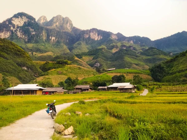 Motorbike parked next to rice fields with mountains