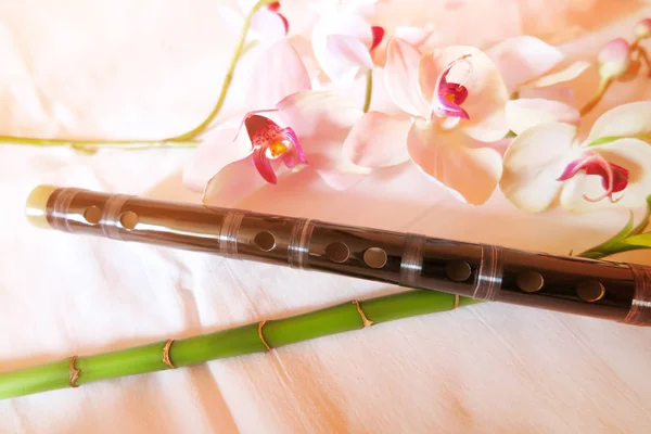 Duas flautas de bambu dizi chinesas tradicionais Fotos De Bancos De Imagens