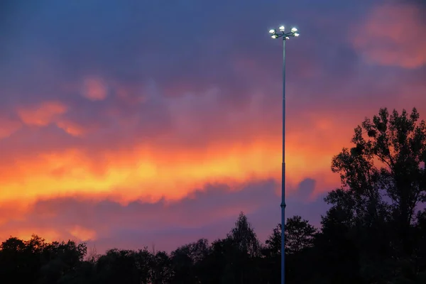 Sunset above dark trees creating peaceful atmosphere. — Stock Photo, Image