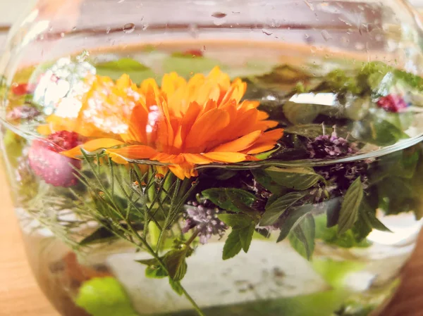 Detalhe do chá de ervas feito de ervas frescas, flores, mirtilos e morangos Fotos De Bancos De Imagens Sem Royalties