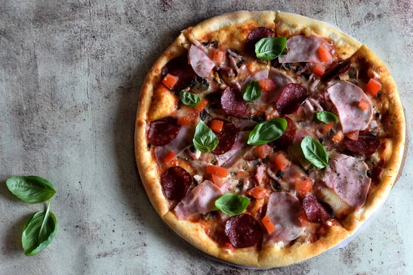 Jambon, mantar, salam, domates, peynir ve Fesleğen ile sıcak pizza güzel bir gri arka plan üzerinde yakın çekim fotoğraflandı