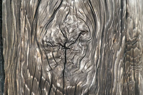 Teksturowane Wzór Drzewa Wieku Trunk — Zdjęcie stockowe