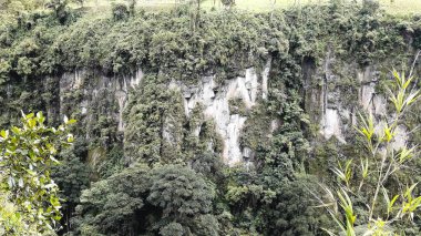 Doğanın ortasında büyük bir uçurumun görünümü