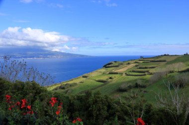 Azores (Portekiz) ve Pico de Güzel Isla Faial