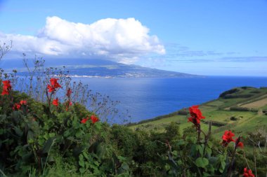 Azores (Portekiz) ve Pico de Güzel Isla Faial