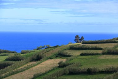 Azores güzel Isla Faial (Portekiz)