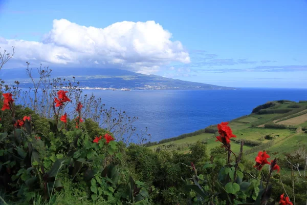 Azores (Portekiz) ve Pico de Güzel Isla Faial