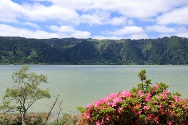 Güzel Isla Sao Miguel Azores at (Portekiz)