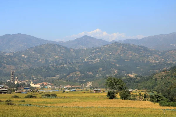 Champ dans les contreforts de l'Himalaya — Photo