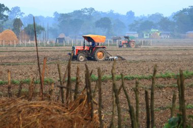 Traktör Nepal 'de bir pirinç alanı çiftçilik