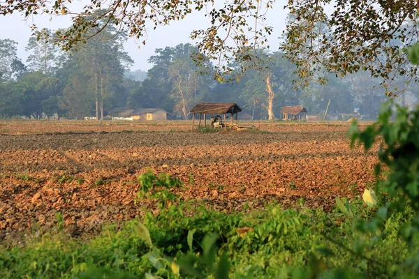 Vista paisagem de um campo no Nepal — Fotografia de Stock