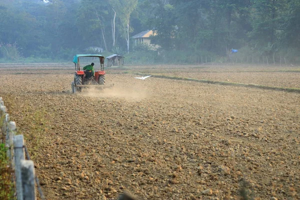 Trator arar um campo de arroz no Nepal — Fotografia de Stock