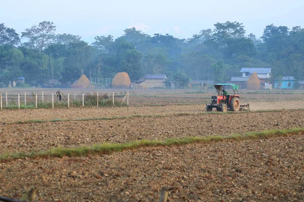 Трактор вспахивает рисовое поле в Непале — стоковое фото