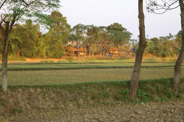 Vista paisagem de um campo no Nepal — Fotografia de Stock