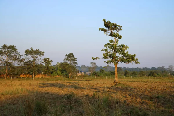 Vista paisagem de um campo no Nepal — Fotografia de Stock