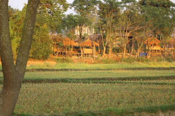 Vista paisagem de um campo no Nepal — Fotografia de Stock