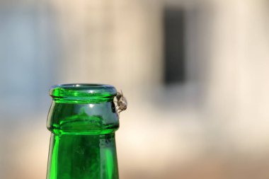 Bir bira şişesi üzerinde Fly