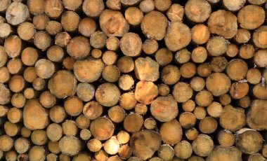 Arkaplan olarak istiflenmiş tahta kütükleri duvarı