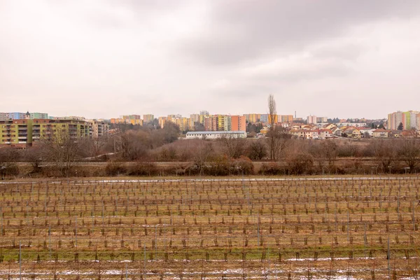 Komünist Sosyalist mimarisi. Mimari detay ve daire sosyal konut deseni. Sosyalist çağ konut bölgesinin portresi, şehir Binası cephesi. Brno, Çek Cumhuriyeti — Stok fotoğraf