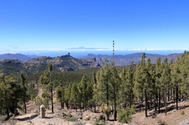 Düşük Roque Nublo yanardağ Teide ile bir Tenerife ada Gran Canaria Pico de las Nieves en yüksek zirvesinde amijin görünümü. Canary Islands, Ispanya