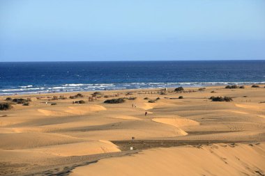 ünlü doğal maspalomas Beach kum tepeleri. Gran canaria. İspanya