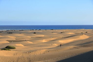 ünlü doğal maspalomas Beach kum tepeleri. Gran canaria. İspanya